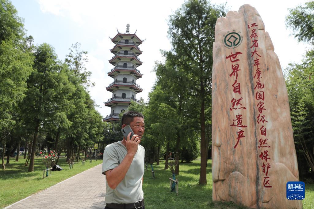 世界赌城下载
