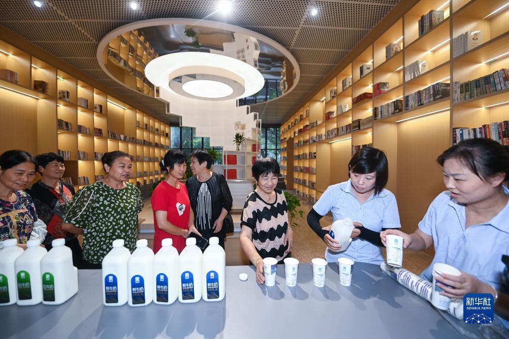 永利网投官网